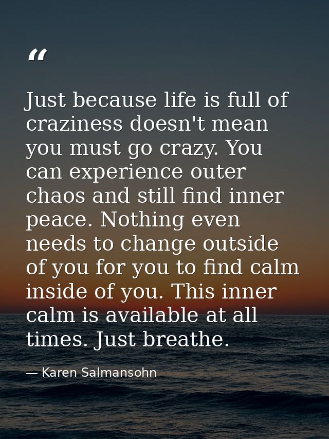 Just because life is full of craziness doesn't mean you must go crazy. You can experience outer chaos and still find inn — Karen Salmansohn