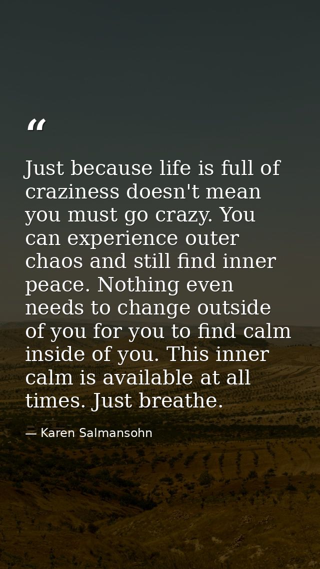 Just because life is full of craziness doesn't mean you must go crazy. You can experience outer chaos and still find inn — Karen Salmansohn