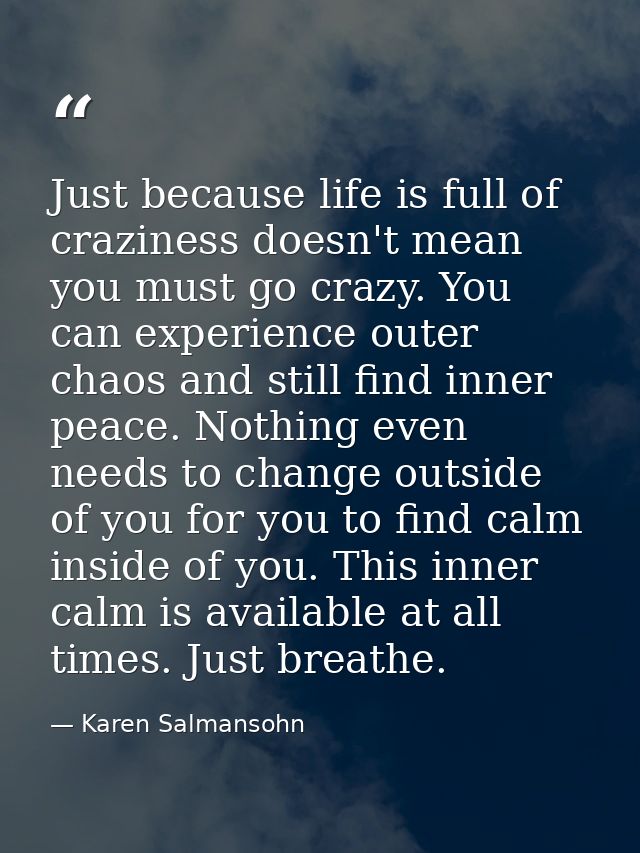 Just because life is full of craziness doesn't mean you must go crazy. You can experience outer chaos and still find inn — Karen Salmansohn