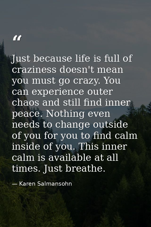 Just because life is full of craziness doesn't mean you must go crazy. You can experience outer chaos and still find inn — Karen Salmansohn