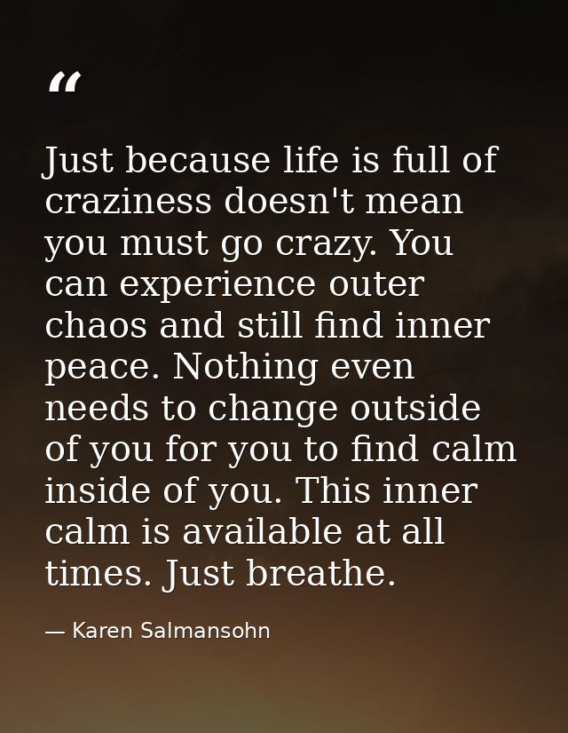 Just because life is full of craziness doesn't mean you must go crazy. You can experience outer chaos and still find inn — Karen Salmansohn