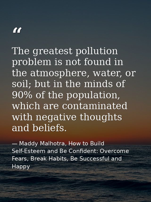 The greatest pollution problem is not found in the atmosphere, water, or soil; but in the minds of 90% of the population — Maddy Malhotra, How to Build Self-Esteem and Be Confident: Overcome Fears, Break Habits, Be Successful and Happy