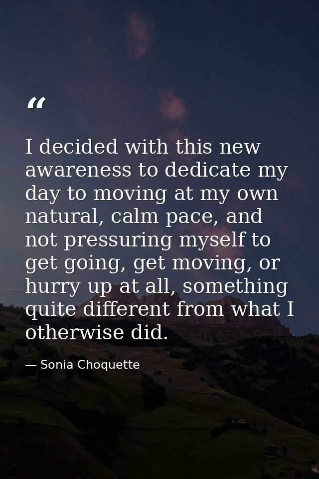 I decided with this new awareness to dedicate my day to moving at my own natural, calm pace, and not pressuring myself t — Sonia Choquette