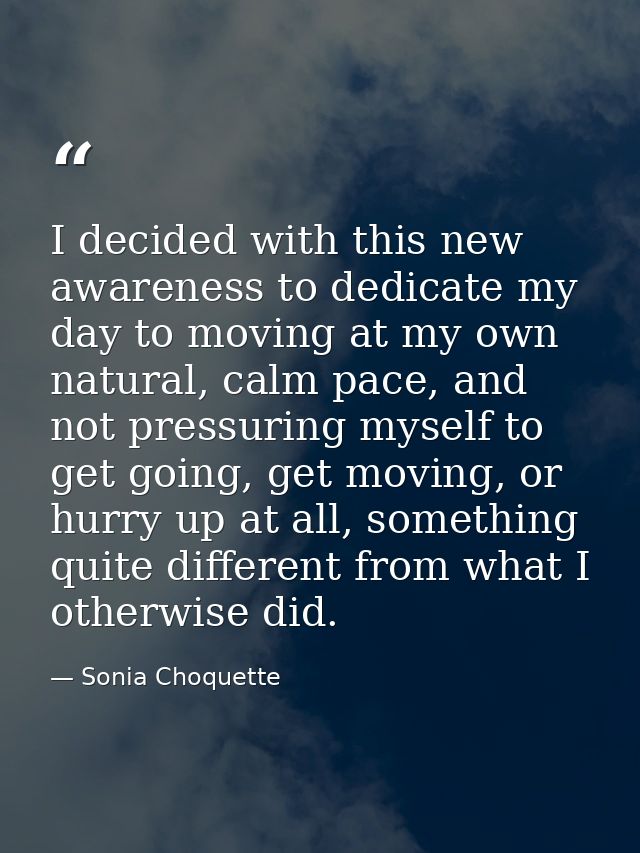 I decided with this new awareness to dedicate my day to moving at my own natural, calm pace, and not pressuring myself t — Sonia Choquette