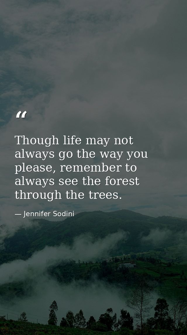 Though life may not always go the way you please, remember to always see the forest through the trees. — Jennifer Sodini