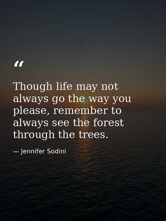 Though life may not always go the way you please, remember to always see the forest through the trees. — Jennifer Sodini