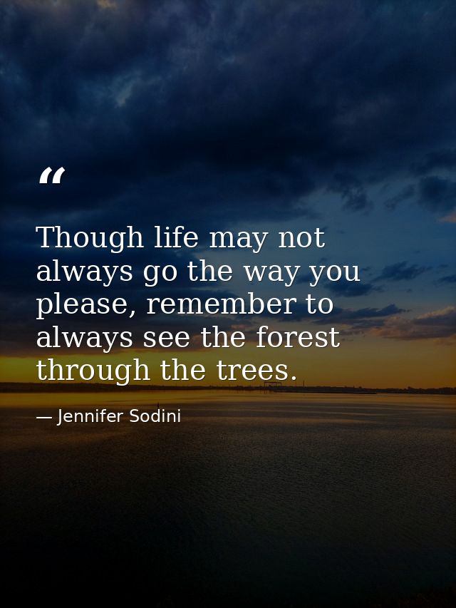 Though life may not always go the way you please, remember to always see the forest through the trees. — Jennifer Sodini