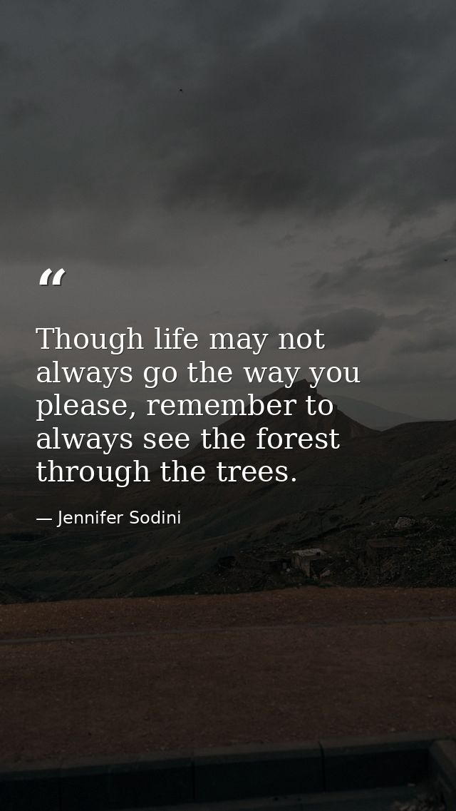 Though life may not always go the way you please, remember to always see the forest through the trees. — Jennifer Sodini