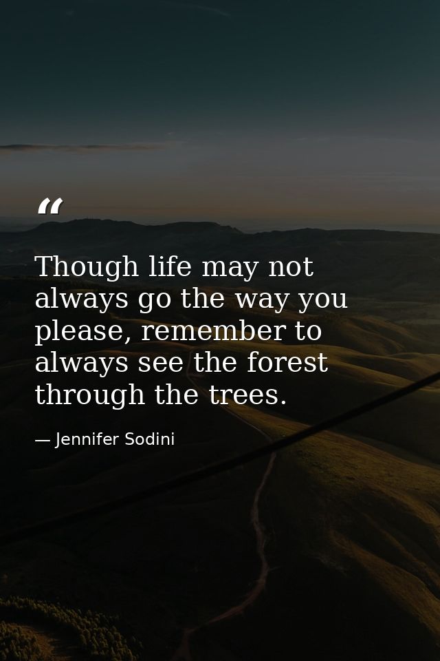 Though life may not always go the way you please, remember to always see the forest through the trees. — Jennifer Sodini