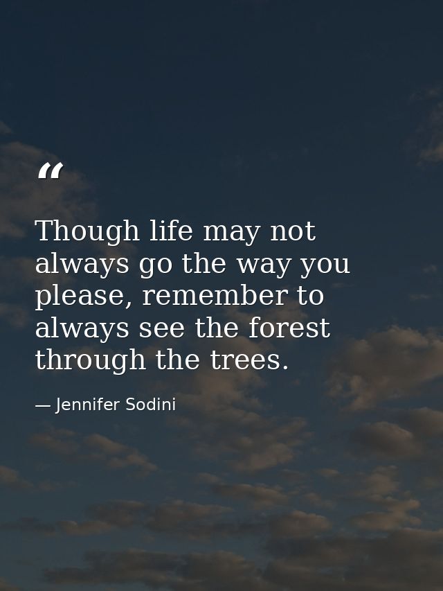 Though life may not always go the way you please, remember to always see the forest through the trees. — Jennifer Sodini