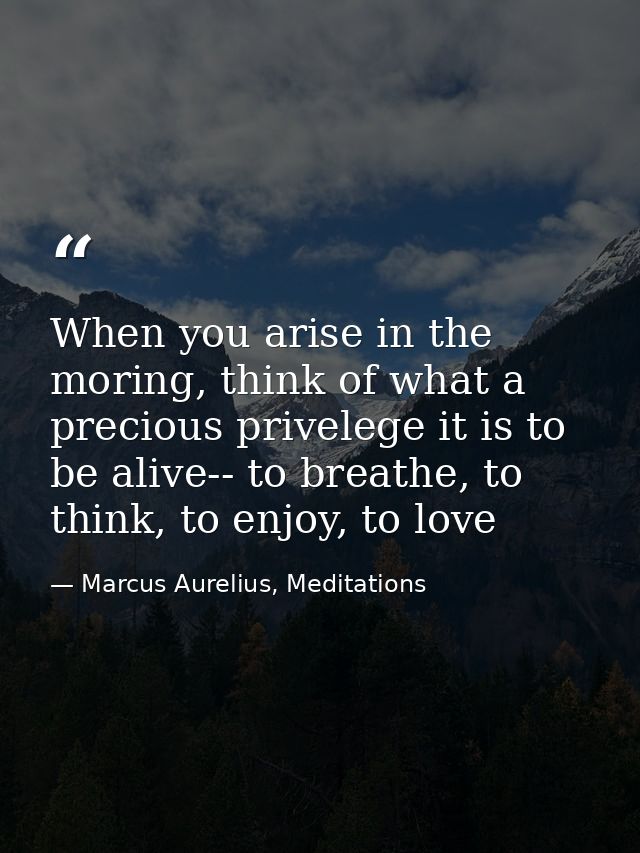 When you arise in the moring, think of what a precious privelege it is to be alive-- to breathe, to think, to enjoy, to  — Marcus Aurelius, Meditations