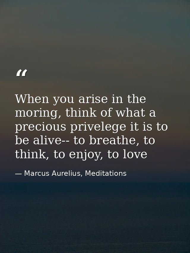 When you arise in the moring, think of what a precious privelege it is to be alive-- to breathe, to think, to enjoy, to  — Marcus Aurelius, Meditations