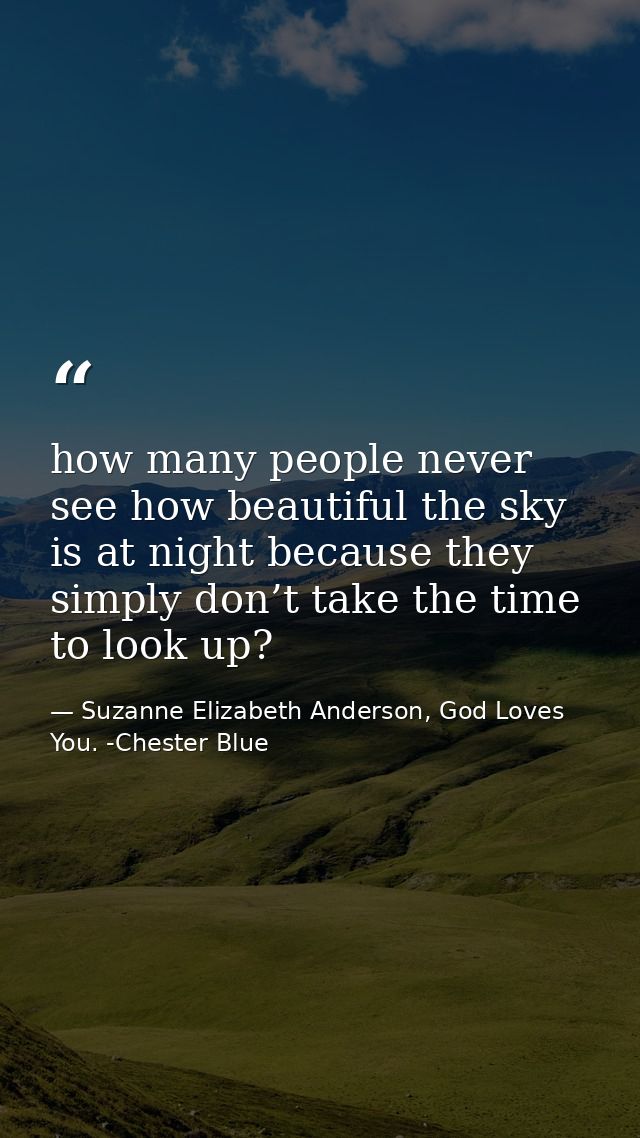 how many people never see how beautiful the sky is at night because they simply don’t take the time to look up? — Suzanne Elizabeth Anderson, God Loves You. -Chester Blue