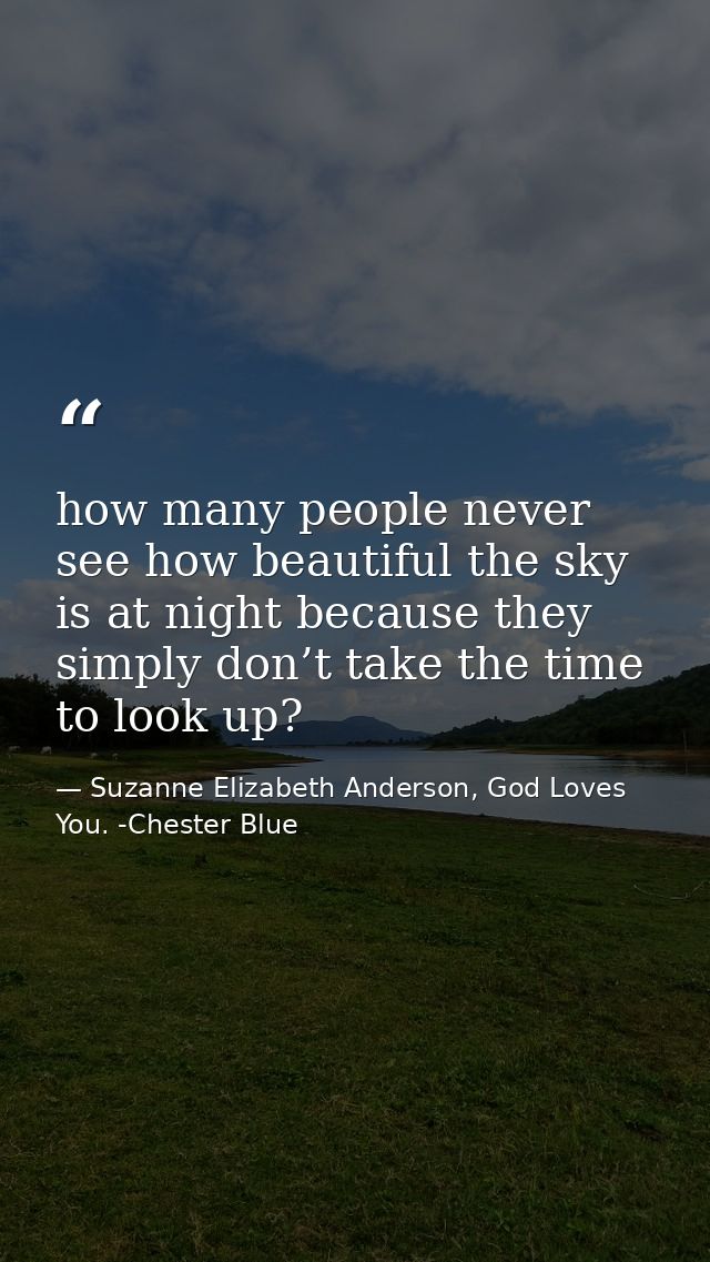 how many people never see how beautiful the sky is at night because they simply don’t take the time to look up? — Suzanne Elizabeth Anderson, God Loves You. -Chester Blue
