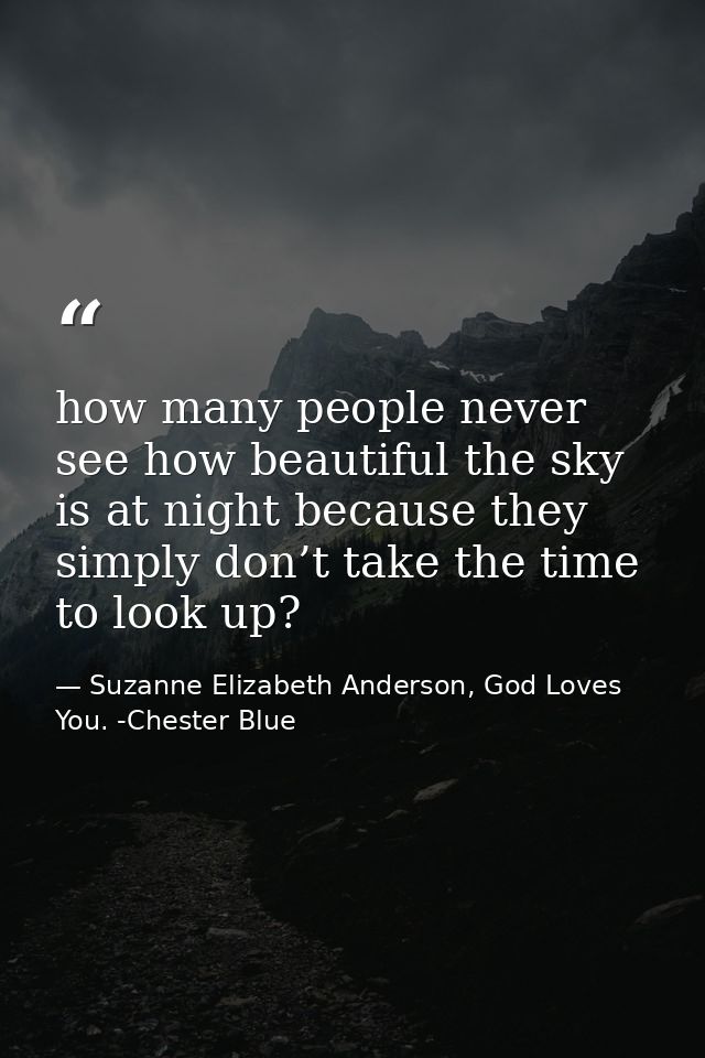 how many people never see how beautiful the sky is at night because they simply don’t take the time to look up? — Suzanne Elizabeth Anderson, God Loves You. -Chester Blue