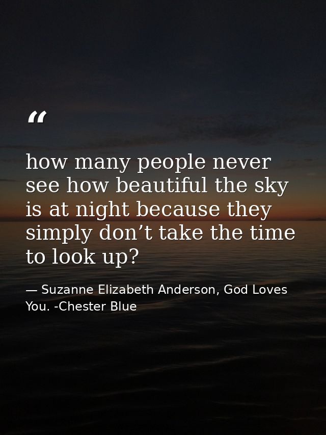 how many people never see how beautiful the sky is at night because they simply don’t take the time to look up? — Suzanne Elizabeth Anderson, God Loves You. -Chester Blue