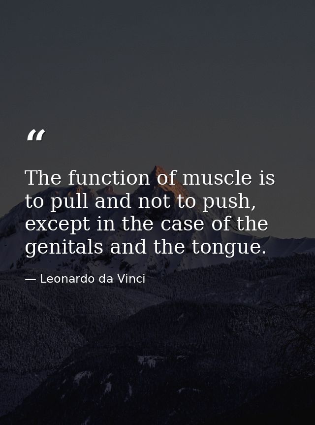 The function of muscle is to pull and not to push, except in the case of the genitals and the tongue. — Leonardo da Vinci