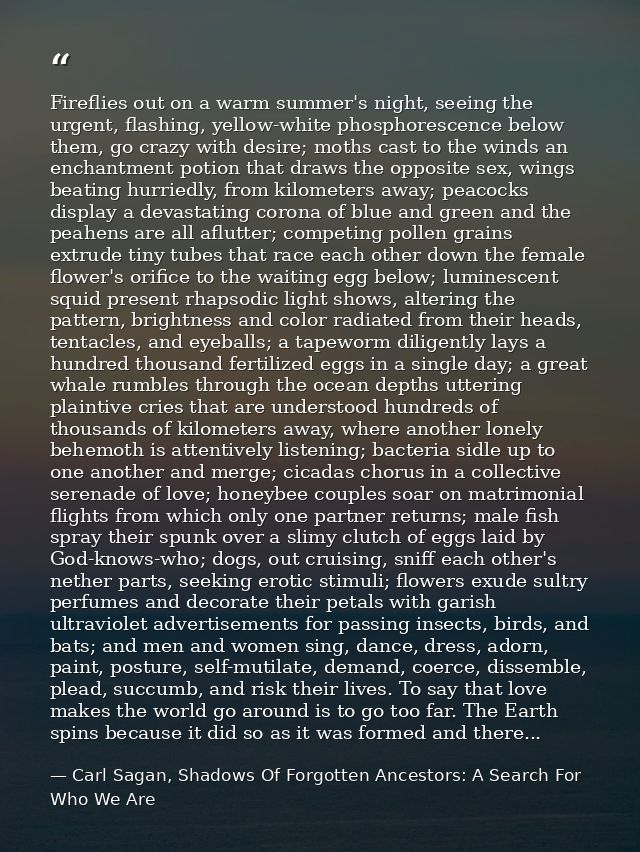 Fireflies out on a warm summer's night, seeing the urgent, flashing, yellow-white phosphorescence below them, go crazy w — Carl Sagan, Shadows Of Forgotten Ancestors: A Search For Who We Are