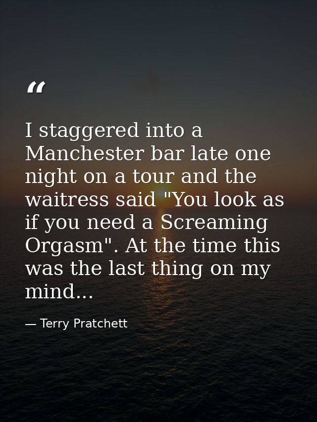 I staggered into a Manchester bar late one night on a tour and the waitress said "You look as if you need a Screaming Or — Terry Pratchett