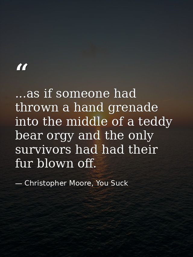 ...as if someone had thrown a hand grenade into the middle of a teddy bear orgy and the only survivors had had their fur — Christopher Moore, You Suck