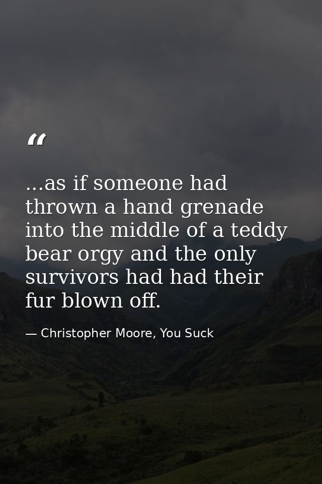 ...as if someone had thrown a hand grenade into the middle of a teddy bear orgy and the only survivors had had their fur — Christopher Moore, You Suck