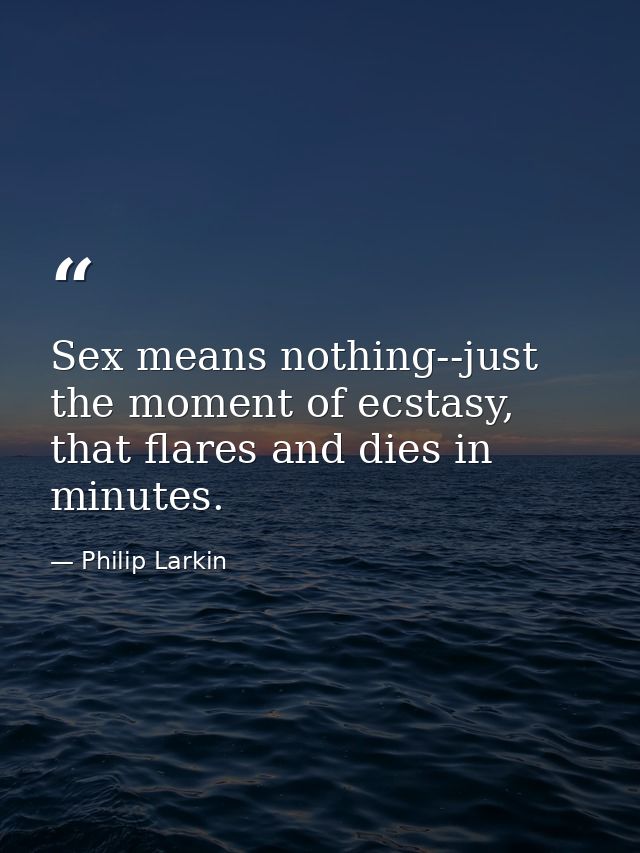 Sex means nothing--just the moment of ecstasy, that flares and dies in minutes. — Philip Larkin