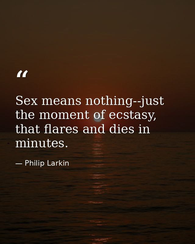 Sex means nothing--just the moment of ecstasy, that flares and dies in minutes. — Philip Larkin