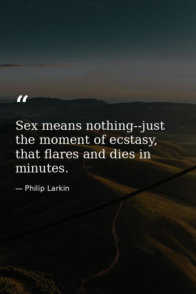 Sex means nothing--just the moment of ecstasy, that flares and dies in minutes. — Philip Larkin