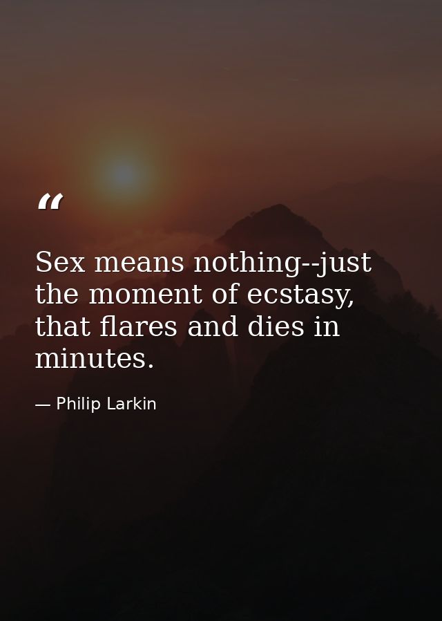 Sex means nothing--just the moment of ecstasy, that flares and dies in minutes. — Philip Larkin