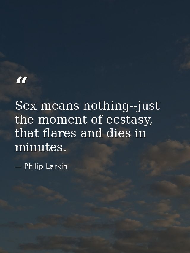 Sex means nothing--just the moment of ecstasy, that flares and dies in minutes. — Philip Larkin
