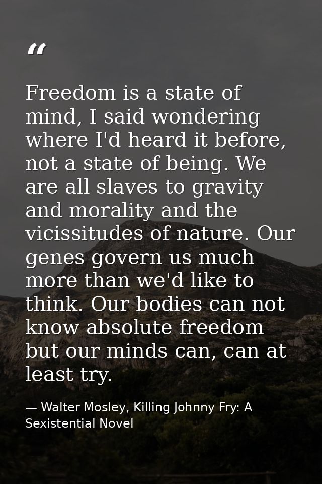 Freedom is a state of mind, I said wondering where I'd heard it before, not a state of being. We are all slaves to gravi — Walter Mosley, Killing Johnny Fry: A Sexistential Novel