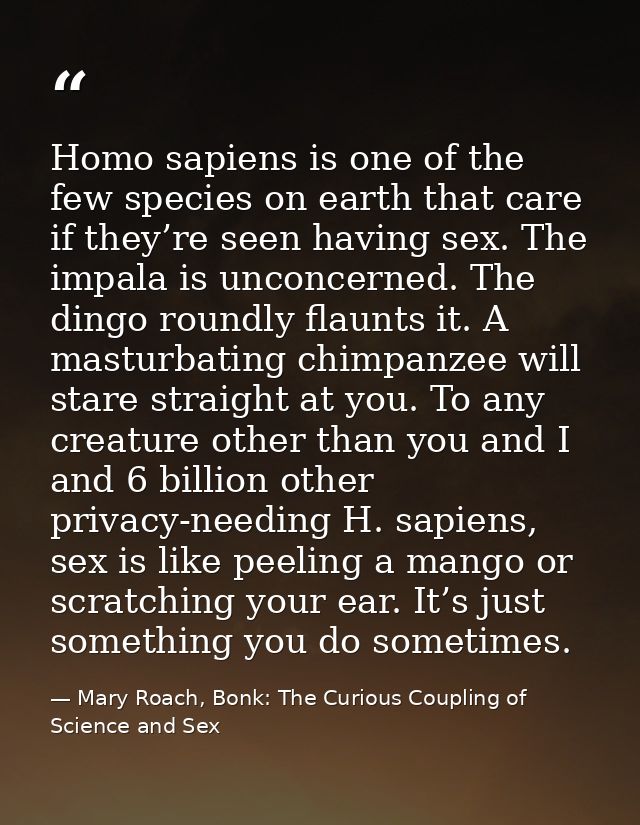 Homo sapiens is one of the few species on earth that care if they’re seen having sex. The impala is unconcerned. The din — Mary Roach, Bonk: The Curious Coupling of Science and Sex