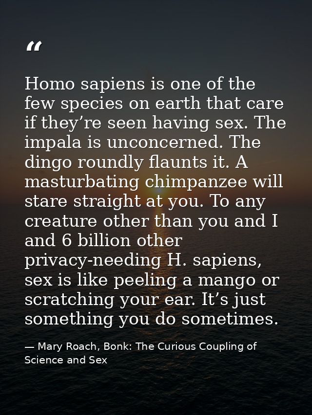 Homo sapiens is one of the few species on earth that care if they’re seen having sex. The impala is unconcerned. The din — Mary Roach, Bonk: The Curious Coupling of Science and Sex