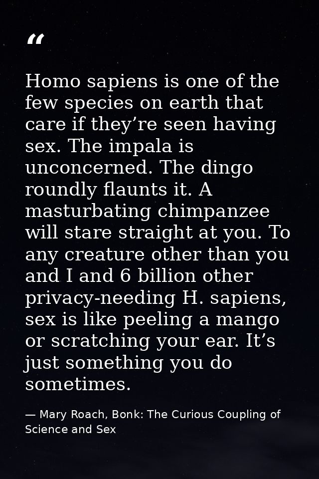 Homo sapiens is one of the few species on earth that care if they’re seen having sex. The impala is unconcerned. The din — Mary Roach, Bonk: The Curious Coupling of Science and Sex