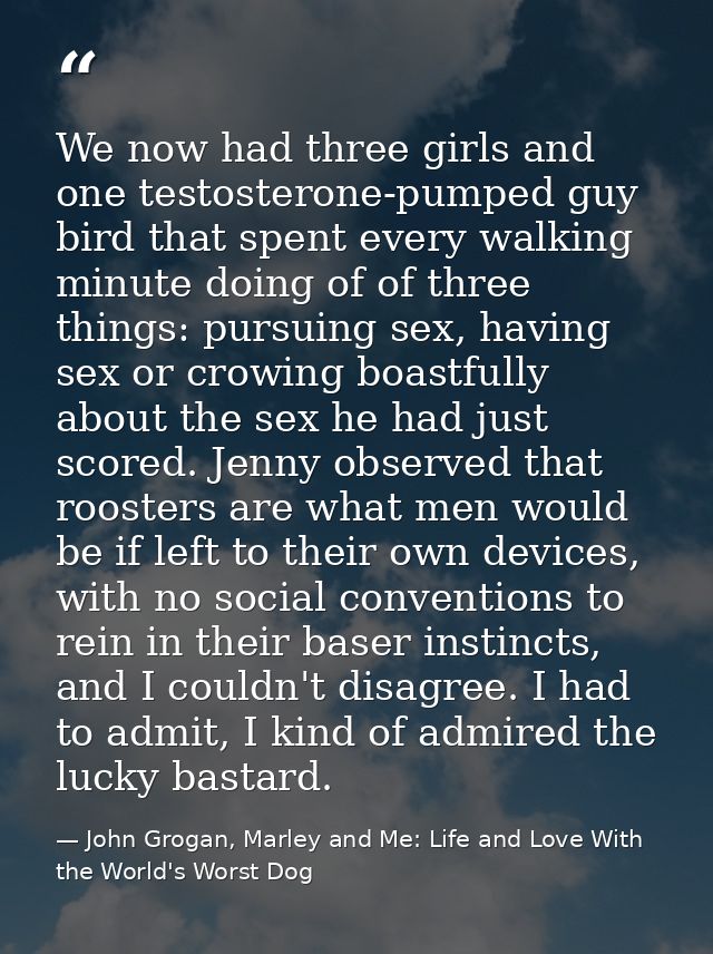 We now had three girls and one testosterone-pumped guy bird that spent every walking minute doing of of three things: pu — John Grogan, Marley and Me: Life and Love With the World's Worst Dog