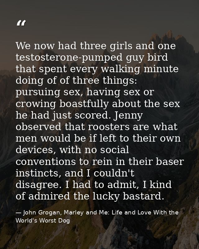 We now had three girls and one testosterone-pumped guy bird that spent every walking minute doing of of three things: pu — John Grogan, Marley and Me: Life and Love With the World's Worst Dog