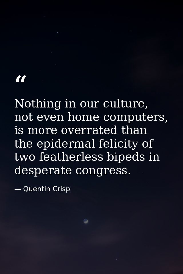 Nothing in our culture, not even home computers, is more overrated than the epidermal felicity of two featherless bipeds — Quentin Crisp