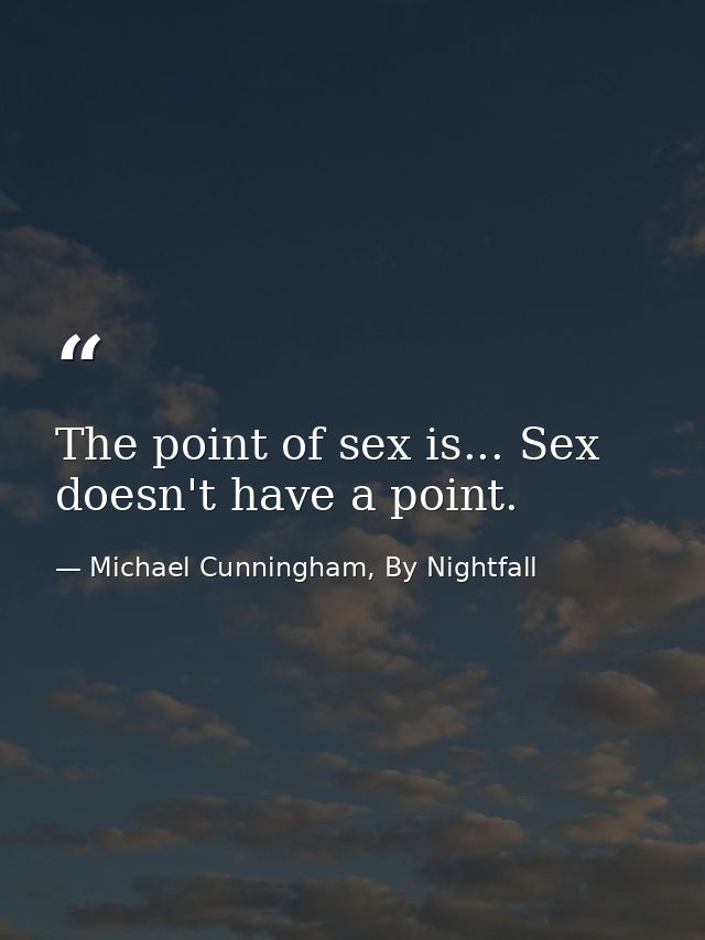 The point of sex is... Sex doesn't have a point. — Michael Cunningham, By Nightfall