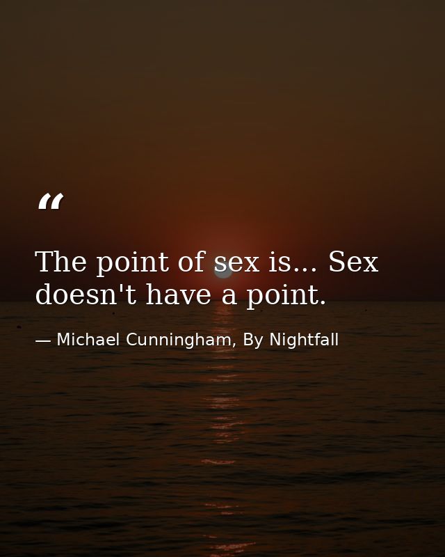 The point of sex is... Sex doesn't have a point. — Michael Cunningham, By Nightfall