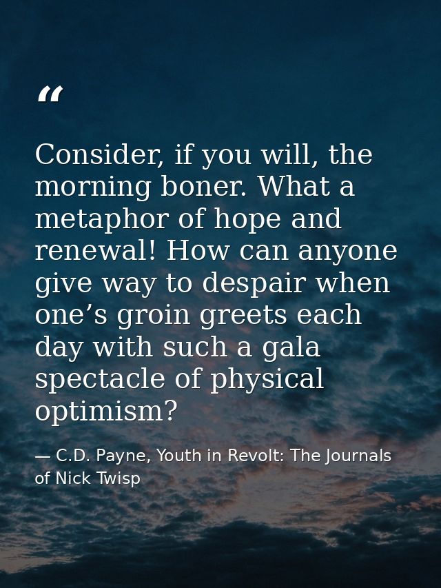 Consider, if you will, the morning boner. What a metaphor of hope and renewal! How can anyone give way to despair when o — C.D. Payne, Youth in Revolt: The Journals of Nick Twisp