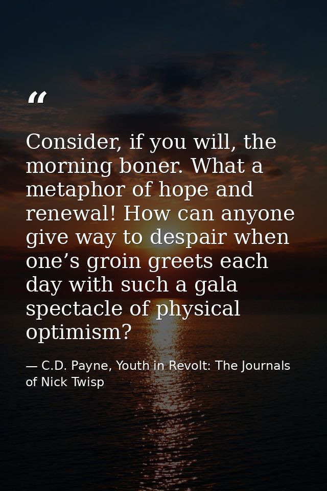 Consider, if you will, the morning boner. What a metaphor of hope and renewal! How can anyone give way to despair when o — C.D. Payne, Youth in Revolt: The Journals of Nick Twisp