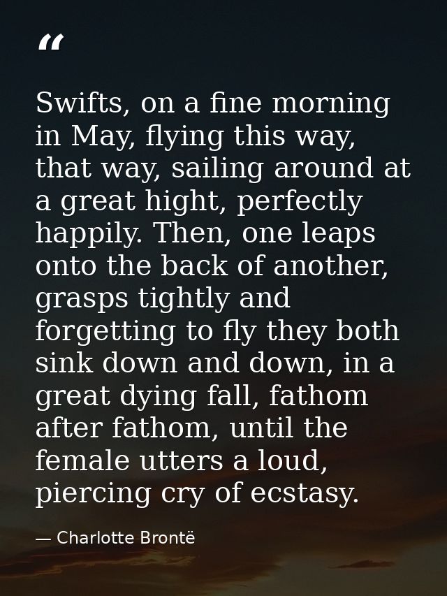 Swifts, on a fine morning in May, flying this way, that way, sailing around at a great hight, perfectly happily. Then, o — Charlotte Brontë