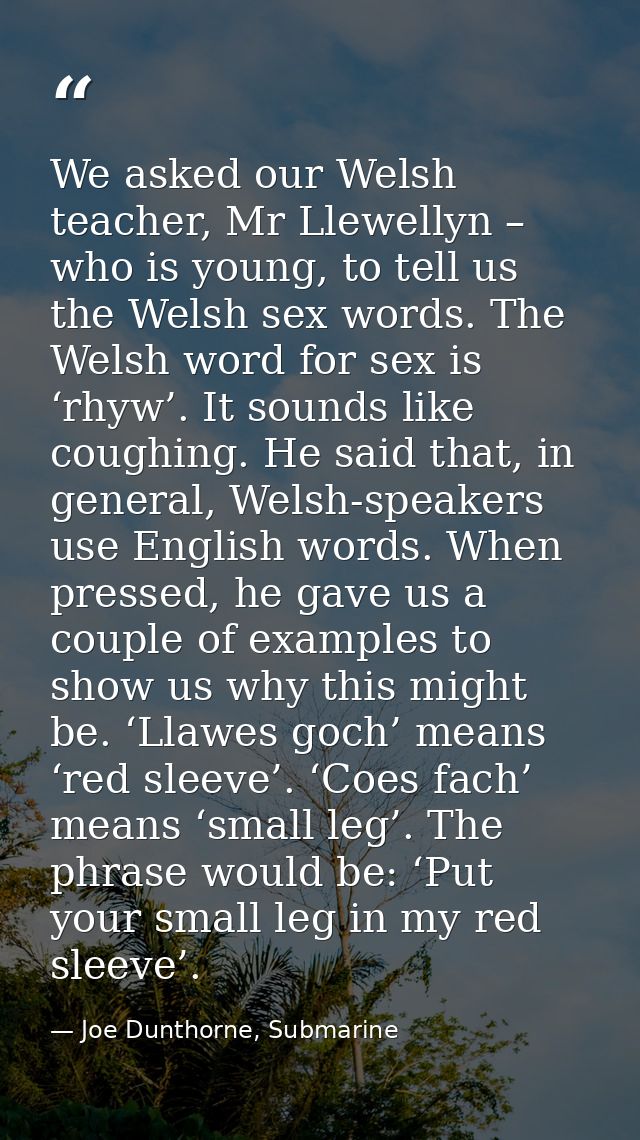 We asked our Welsh teacher, Mr Llewellyn – who is young, to tell us the Welsh sex words. The Welsh word for sex is ‘rhyw — Joe Dunthorne, Submarine