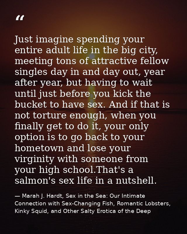 Just imagine spending your entire adult life in the big city, meeting tons of attractive fellow singles day in and day o — Marah J. Hardt, Sex in the Sea: Our Intimate Connection with Sex-Changing Fish, Romantic Lobsters, Kinky Squid, and Other Salty Erotica of the Deep
