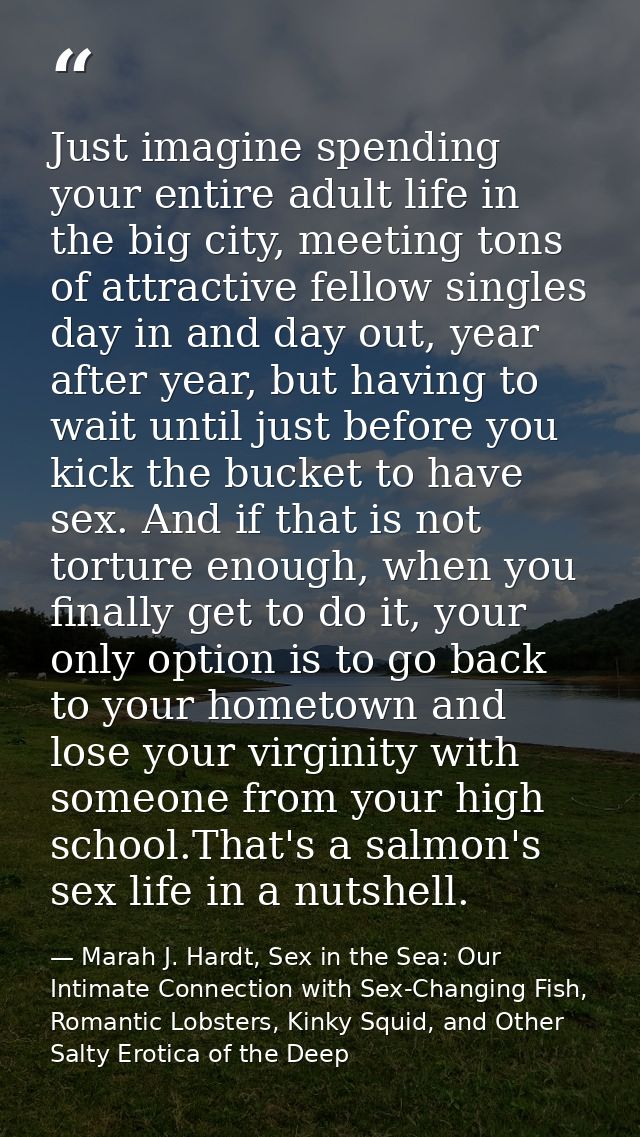 Just imagine spending your entire adult life in the big city, meeting tons of attractive fellow singles day in and day o — Marah J. Hardt, Sex in the Sea: Our Intimate Connection with Sex-Changing Fish, Romantic Lobsters, Kinky Squid, and Other Salty Erotica of the Deep