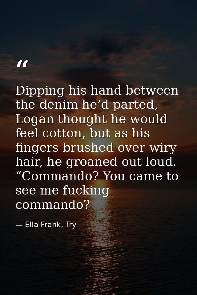 Dipping his hand between the denim he’d parted, Logan thought he would feel cotton, but as his fingers brushed over wiry — Ella Frank, Try