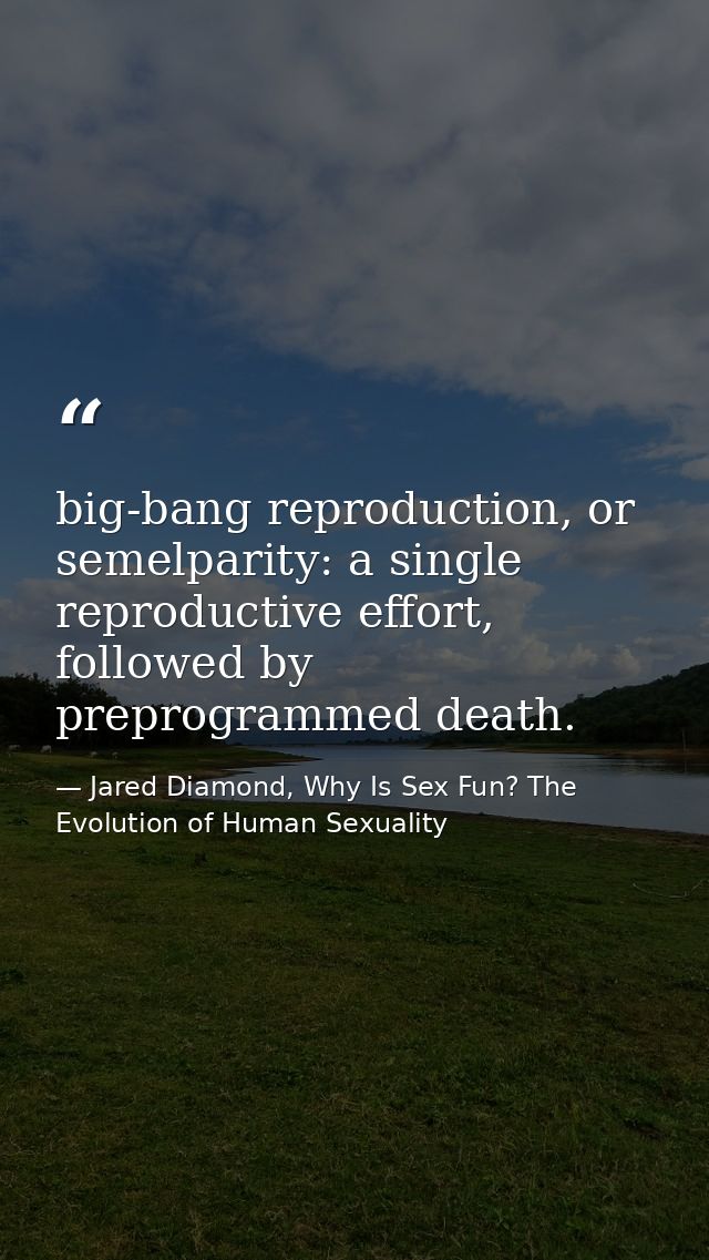 big-bang reproduction, or semelparity: a single reproductive effort, followed by preprogrammed death. — Jared Diamond, Why Is Sex Fun? The Evolution of Human Sexuality
