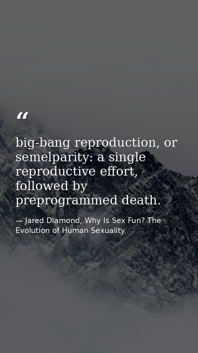 big-bang reproduction, or semelparity: a single reproductive effort, followed by preprogrammed death. — Jared Diamond, Why Is Sex Fun? The Evolution of Human Sexuality