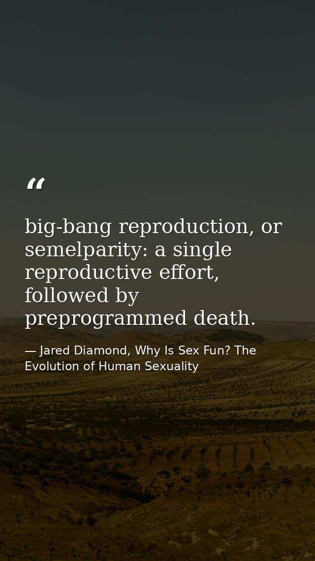 big-bang reproduction, or semelparity: a single reproductive effort, followed by preprogrammed death. — Jared Diamond, Why Is Sex Fun? The Evolution of Human Sexuality