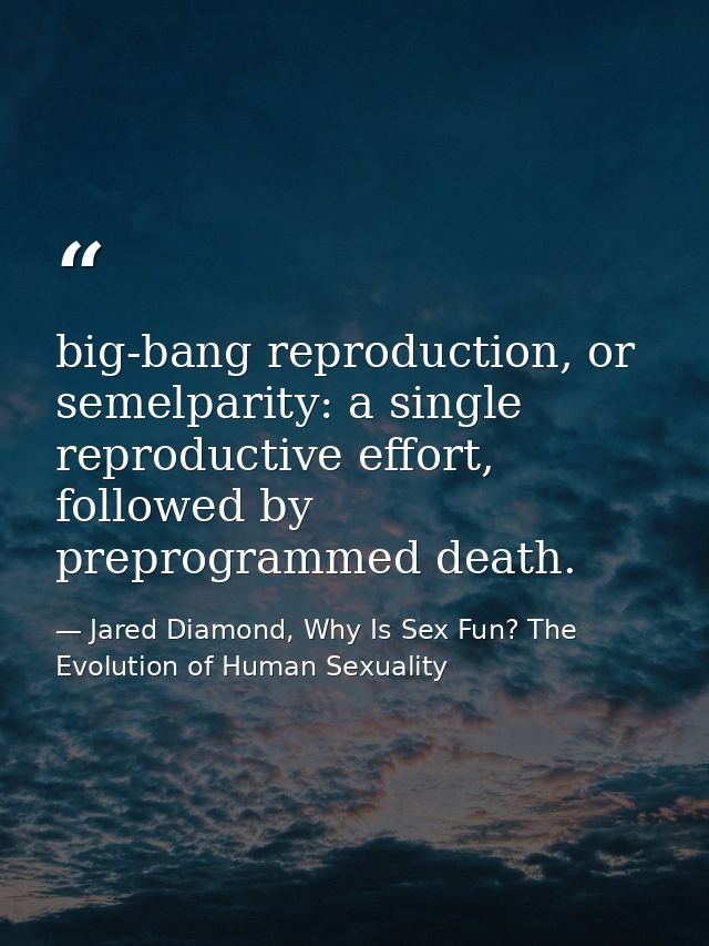 big-bang reproduction, or semelparity: a single reproductive effort, followed by preprogrammed death. — Jared Diamond, Why Is Sex Fun? The Evolution of Human Sexuality